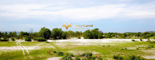 Hòa Thắng, Bình Thuận bán đất giá bán vô cùng rẻ 7,87 tỷ-02
