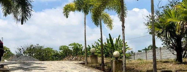 Bán đất ven sông Đồng Nai, giáp ranh thành phố Biên Hoà, lại gần HCM -02