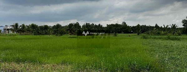 Tân Xuân, Ba Tri 650 triệu bán đất Diện tích nền 900m2-03