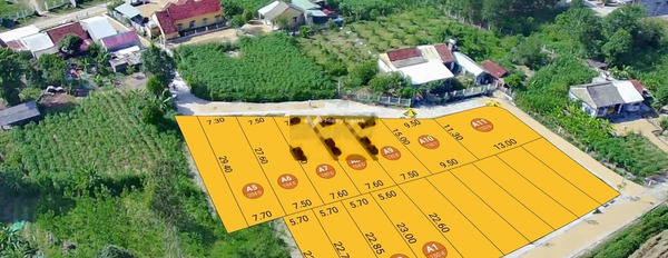 Giá siêu mềm 430 triệu, Bán đất với diện tích là 120m2 ngay tại Điện Bàn, Quảng Nam vị trí trung tâm-02