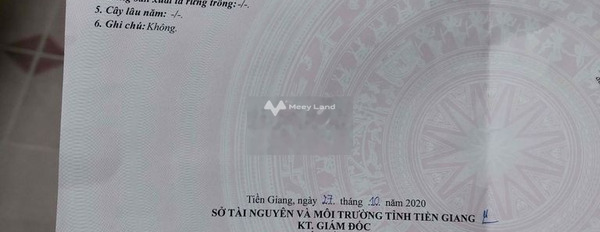 Giá bán ưu đãi từ 170 triệu bán đất Diện tích đất 119m2 vị trí đặt ở tại Bình Phục Nhứt, Chợ Gạo-03