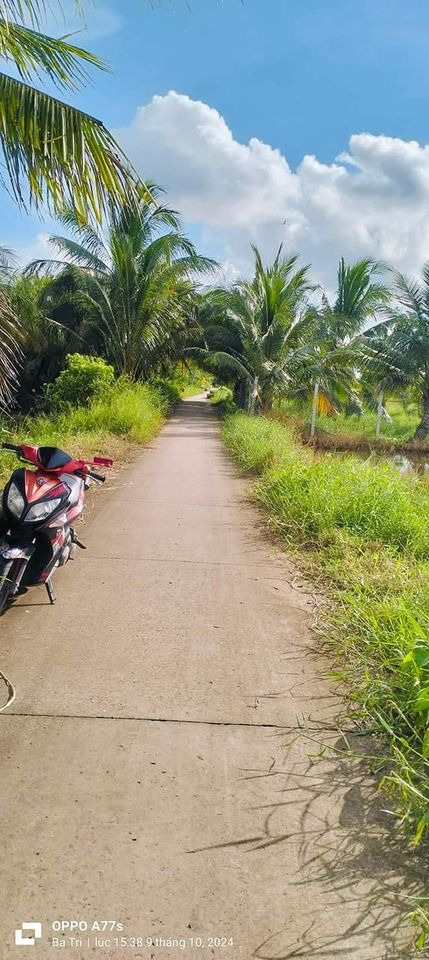 Bán đất huyện Bình Chánh thành phố Hồ Chí Minh giá 295.0 triệu-0