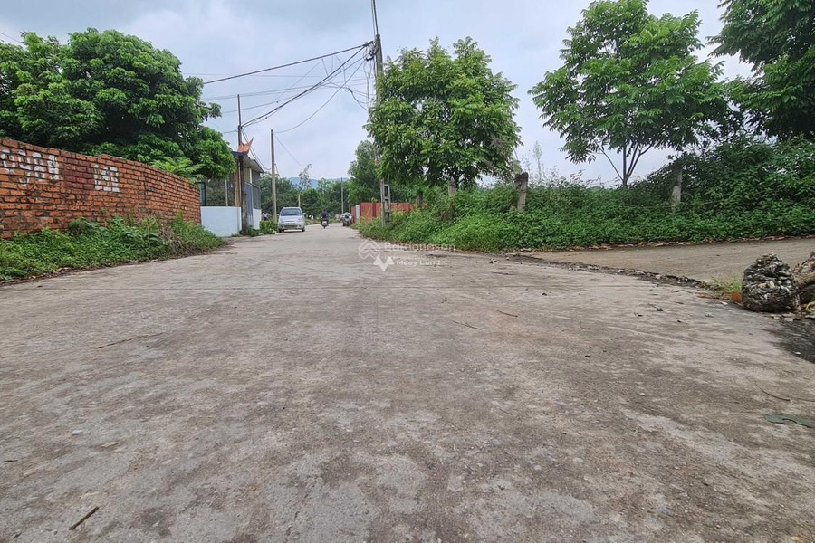 Sóc Sơn, Hà Nội bán đất giá thỏa thuận chỉ 2.32 tỷ diện tích thực tế 166m2-01