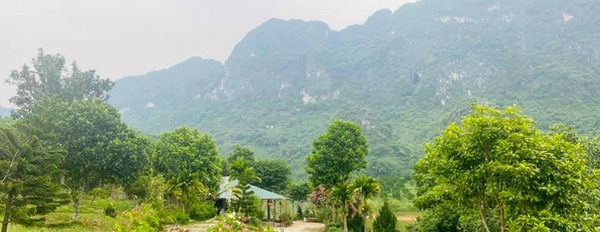 Hơn 5 tỷ sở hữu ngay cơ hội đầu tư với 2,8 ha bám hồ, view núi hiếm có tại Lạc Thủy, Hòa Bình-03