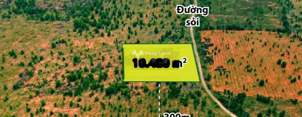 Bắc Bình, Bình Thuận bán đất giá đề xuất chỉ 850 triệu có diện tích gồm 3401m2-02