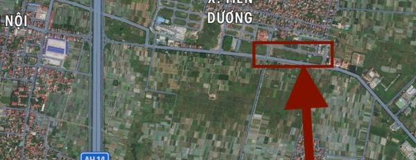 Bán đất diện tích 15.000m2, mặt tiền 300m khu Thị Trấn Đông Anh, Hà Nội-03