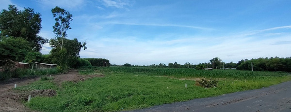Bán đất xã Láng Dài, mặt tiền đường nhựa, gần sân bay Lộc An, giá sỉ-02