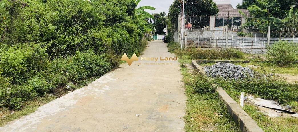 Xã Phước Đồng, Nha Trang bán đất giá hiện tại chỉ 424 triệu, hướng Tây Bắc có diện tích rộng 106 m2