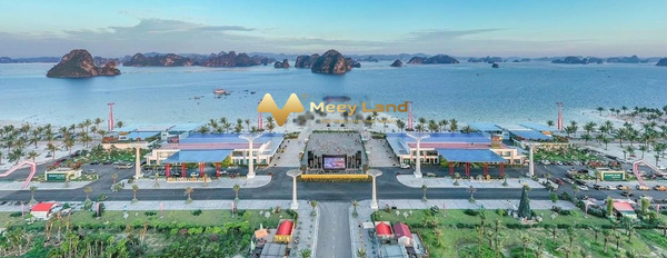 Ở Phương Đông bán đất Đông Xá, Quảng Ninh có dt quy ước 875 m2-03