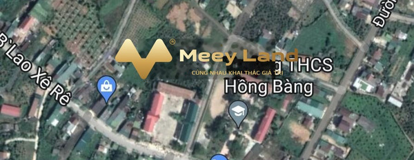 Bán đất vị trí thuận lợi tọa lạc tại Đinh Công Tráng, Lâm Đồng-02
