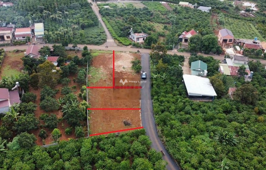 339 triệu bán đất Có tổng diện tích 440m2 vị trí đẹp tại Đồng Phú, Bình Phước, hướng Đông Nam-01