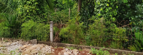 Bán đất tặng nhà tại trung tâm thị trấn huyện Cư' Mgar, tỉnh Đắk Lắk gần các tiện ích xã hội 500m-03