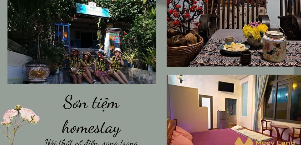 Sơn Tiệm homestay – homestay Cù Lao Xanh, giá rẻ view biển đẹp