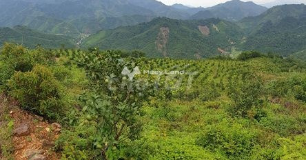 Bắc Mê, Hà Giang bán đất giá rẻ 3 tỷ toàn bộ khu vực có diện tích 15m2-02