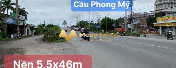 Mặt tiền tọa lạc gần Xã Bình Thành, Tỉnh Đồng Tháp bán đất giá mua liền chỉ 1.5 tỷ diện tích như sau 261 m2-03
