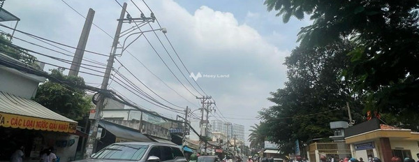 Nằm tại Quang Trung, Quận 9 bán đất 14 tỷ diện tích cụ thể 190m2-03