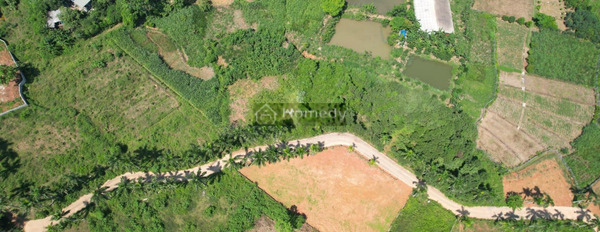 Bán đất mặt tiền nằm ngay tại Lương Sơn, Hòa Bình. Diện tích 5743m2-02