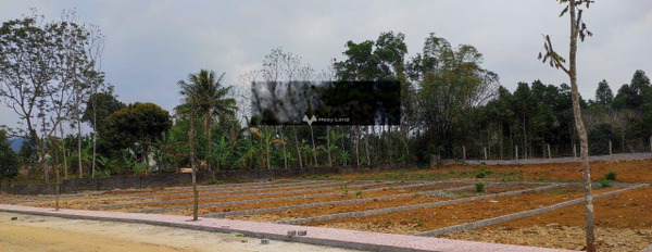 Giá phải chăng từ 155 triệu bán đất diện tích quy đổi 100m2 vị trí tốt tại Cẩm Thủy, Thanh Hóa-02