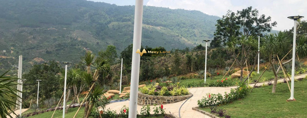 Bán mảnh đất 120m2 giá siêu rẻ 650 triệu vị trí ở Cao Thắng, Lâm Đồng-02