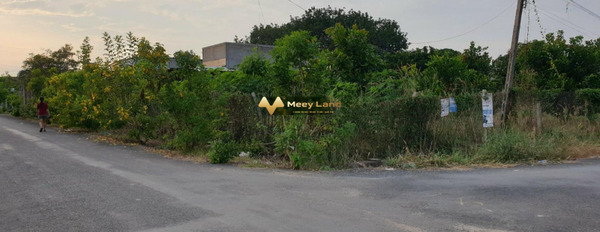 Vị trí mặt tiền ở Xã Phước Tân, Huyện Xuyên Mộc bán đất giá chỉ từ chỉ 3.6 tỷ dt chung 475m2-03