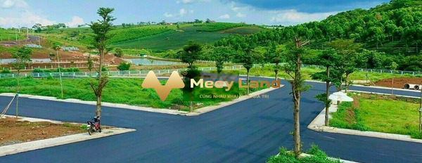 Giá bán hiện tại 1 tỷ, Bán đất có diện tích chuẩn 300 m2 nằm tại Cát Tiên, Lâm Đồng khu vực dân cư-03