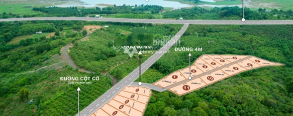 Ở Túc Trưng, Định Quán bán đất diện tích chung 1000m2-02