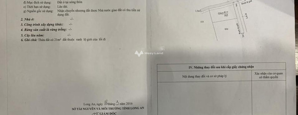 Công việc cấp bách cần bán đất Quốc Lộ 50, Cần Giuộc giá bán cực rẻ 2.48 tỷ diện tích dài 165m2-02