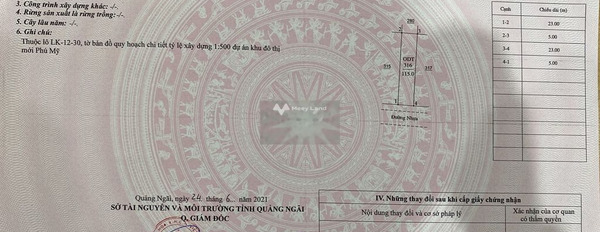 Quốc Lộ 1A, Quảng Ngãi bán đất giá bất ngờ chỉ 1.63 tỷ, hướng Đông Nam diện tích là 644m2-02