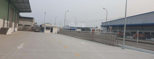 Cho thuê 8000m2 kho nhà xưởng tại khu công nghiệp phố Nối, Yên Mỹ, Hưng Yên-03
