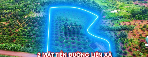 Khoảng từ 3.9 tỷ bán đất diện tích rộng 16000m2 tọa lạc ngay tại Quảng Tiến, Cư M'gar-02