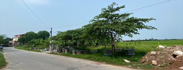 Chủ gửi bán lô đất tại Thống Nhất huyện Hưng Hà-03