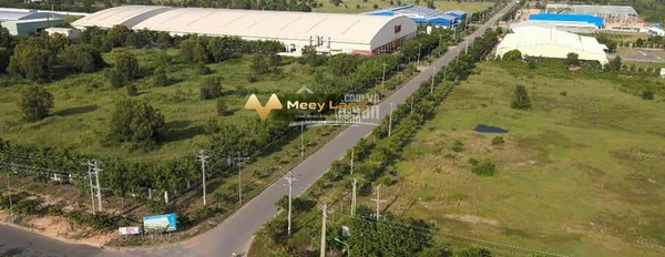 Vị trí thuận lợi ngay Hàm Thuận Nam, Bình Thuận cần bán kho bãi 1600 m2 giá bán đề xuất 1,76 tỷ thuận tiện di chuyển-02