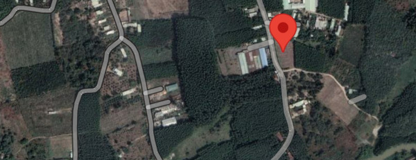 Đất Sào Phước Bình (22mx47m) 1000m2, đối diện Đại học Y Dược, Cách Quốc Lộ 51 2km, sổ hồng riêng-02