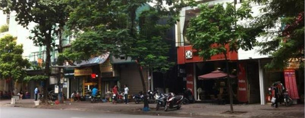 Mặt phố Nguyễn Khang, Cầu Giấy, phố lớn vỉa hè kinh doanh, 55m2, mặt tiền 4,5m-02