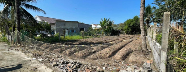 Lô đất tại Xã Diên Sơn - Huyện Diên Khánh cần bán chỉ 1 tỷ 250 triệu-03