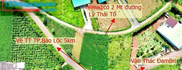 Tại Lý Thái Tổ, Lâm Đồng bán đất 6.3 tỷ có một diện tích sàn 1800m2-03