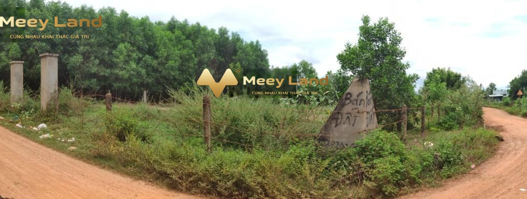 Bán đất có dt chuẩn 1147 m2 vị trí đẹp ngay ở Đường 55, Huyện Hàm Tân