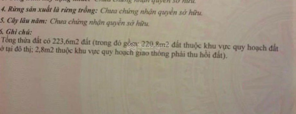 Bán đất mặt tiền đường Đống Đa, Tân Lập khu phố Hàn thuận lợi kinh doanh giá 140tr/m2 -03