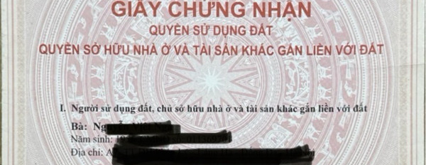 Chính chủ bán đất sổ hồng riêng giá rẻ trung tâm Đông Anh-03