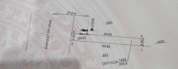 Sốc bán kho bãi diện tích tổng là 245m2 mặt tiền tiềm năng 5 mét mặt tiền tọa lạc ngay ở Chánh Phú Hòa, Bình Dương giá bán khởi điểm 3.3 tỷ lh ngay!-02