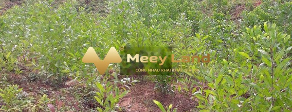 Khoảng 500 triệu bán đất Diện tích đất 14 m2 vị trí thuận tiện ngay tại Huyện Vân Canh, Tỉnh Bình Định-03