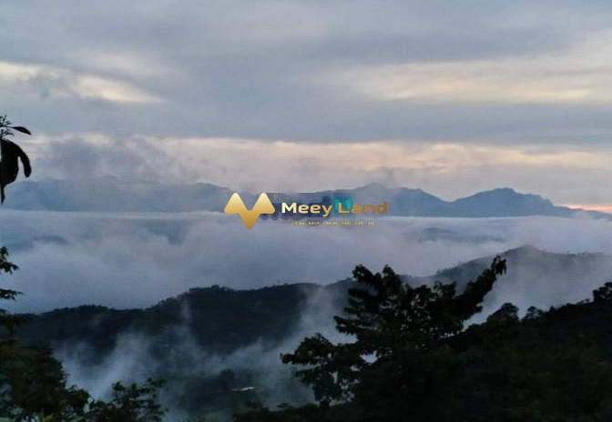 Bán đất 8000m2 xã Suối Giàng, tỉnh Yên Bái, giá 6,5 tỷ