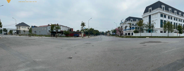 Bán đất kinh doanh khu đô thị Cổ Dương, Tiên Dương, mặt đường 30m-03