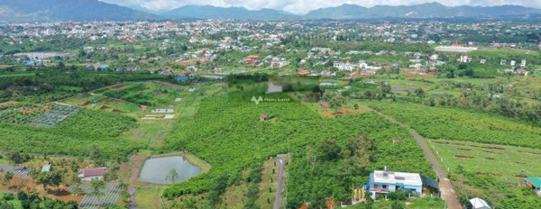 1.9 tỷ bán đất diện tích thực như trên hình 543m2 vị trí tốt ở Lý Thường Kiệt, Bảo Lộc-03