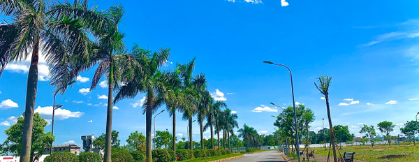 Bán đất tại Inoha City, Phú Xuyên, Hà Nội. Diện tích 100m2, giá 2,5 tỷ-03