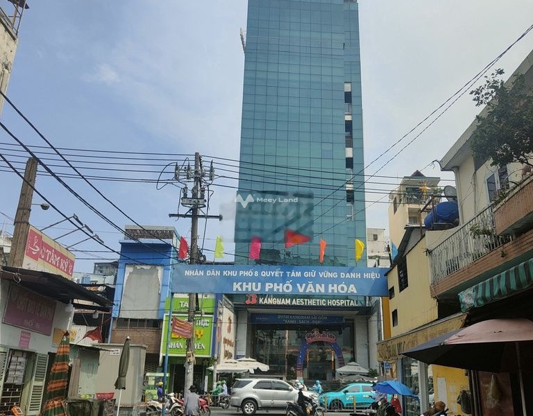 Nhà gồm 4 PN bán nhà giá bán 10 tỷ có diện tích 86m2 trong Tân Bình, Hồ Chí Minh-01