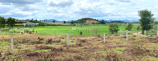 Chuyển định cư bán mảnh đất, 873m2 giá bán thương lượng chỉ 2.2 triệu vị trí thuận lợi tọa lạc ngay tại N'Thol Hạ, Lâm Đồng, hướng Tây Nam giá siêu rẻ-03