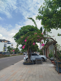 Bán nhà riêng thành phố Nha Trang tỉnh Khánh Hòa giá 69.0 triệu/m2