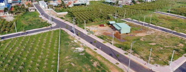 Khoảng từ 950 triệu bán đất diện tích tổng 100 m2 vị trí đặt tọa lạc trên Hàm Thuận Bắc, Bình Thuận, hướng Nam-03
