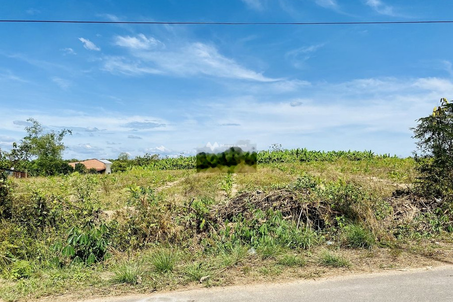 Phú Ngọc, Đồng Nai bán đất giá bán cơ bản từ 13.8 tỷ toàn bộ khu vực có diện tích 7500m2-01